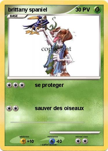 Pokemon brittany spaniel