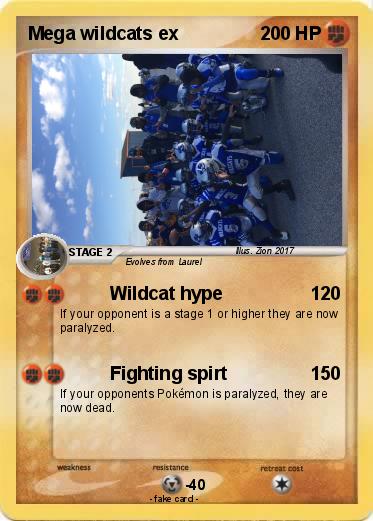 Pokemon Mega wildcats ex