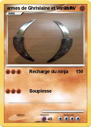 Pokemon armes de Ghrislaine et Vanessa