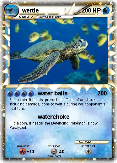 Pokemon wertle