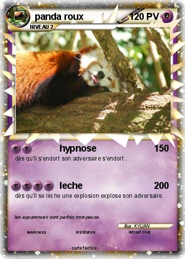 Pokemon panda roux
