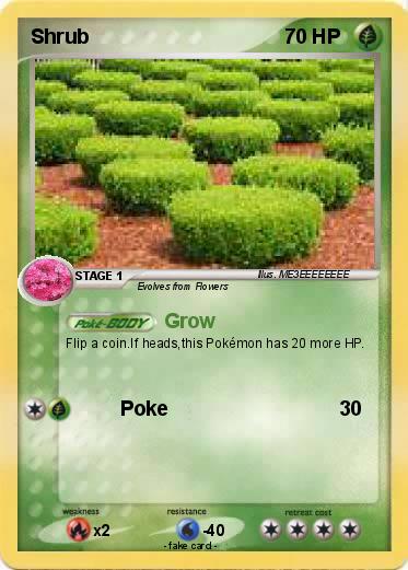 Pokemon Shrub