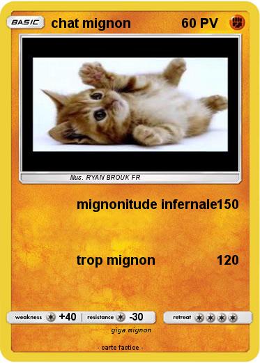 Pokemon chat mignon