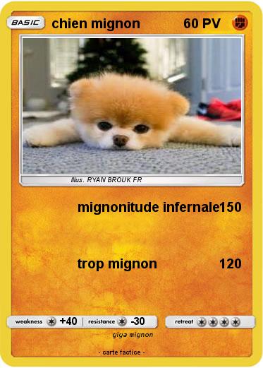 Pokemon chien mignon