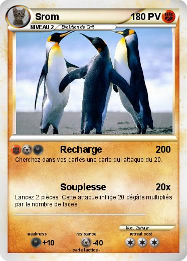 Pokemon Srom