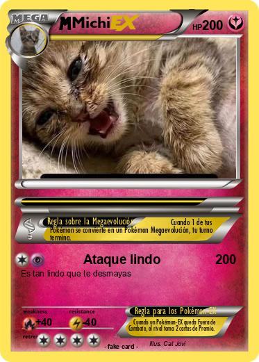 Pokemon Michi