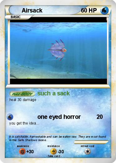 Pokemon Airsack
