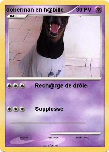 Pokemon doberman en h@bille