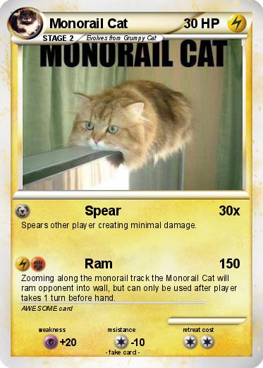 Pokemon Monorail Cat