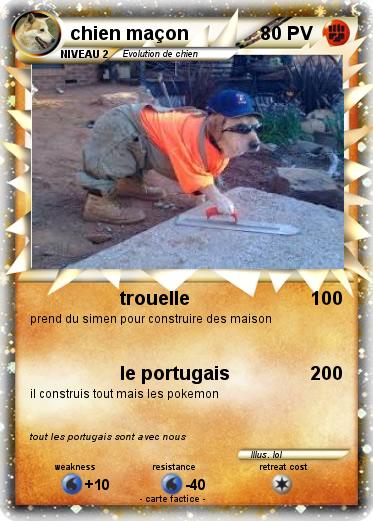 Pokemon chien maçon