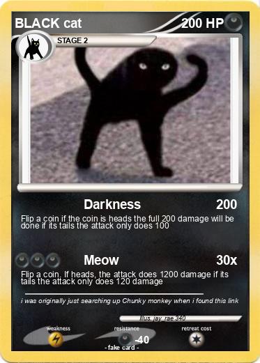Pokemon BLACK cat