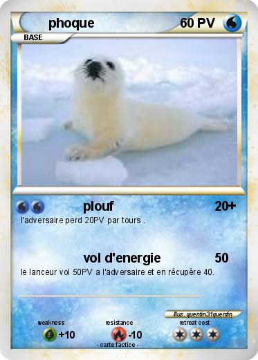 Pokemon phoque