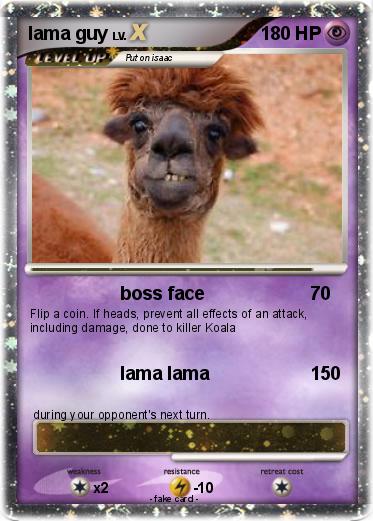 Pokemon lama guy