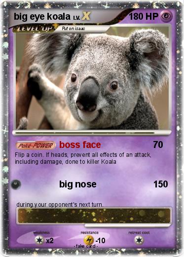 Pokemon big eye koala