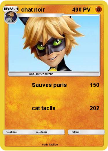 Pokemon chat noir                   4