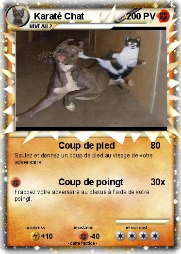 Pokemon Karaté Chat