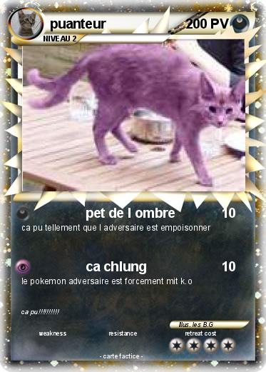 Pokemon puanteur