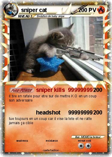 Pokemon sniper cat