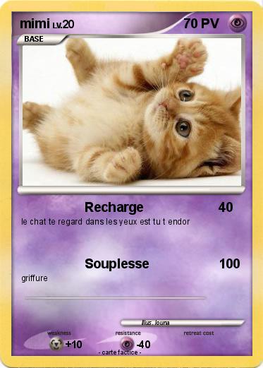 Pokemon mimi