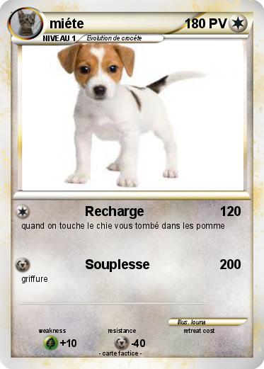 Pokemon miéte