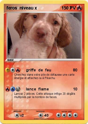 Pokemon feros  niveau x