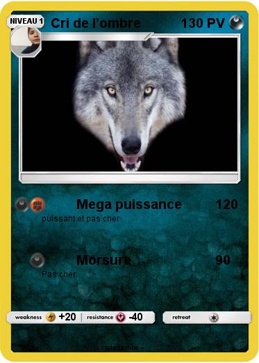 Pokemon Cri de l’ombre