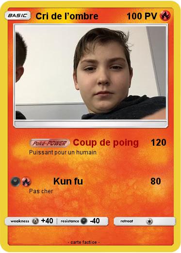 Pokemon Cri de l’ombre