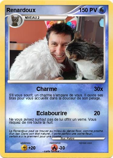 Pokemon Renardoux