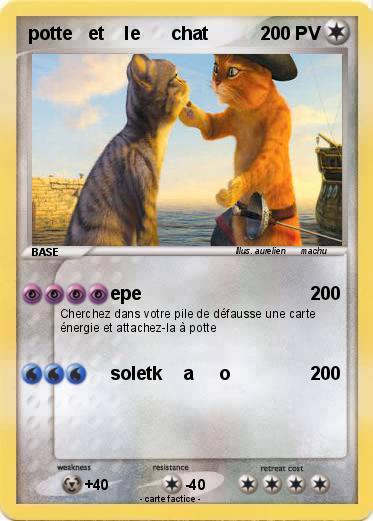 Pokemon potte   et    le      chat