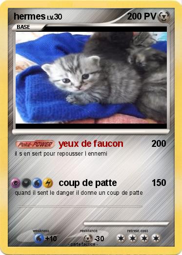 Pokemon hermes