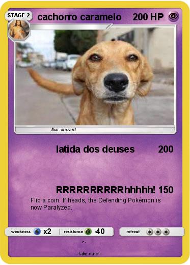 Pokemon cachorro caramelo