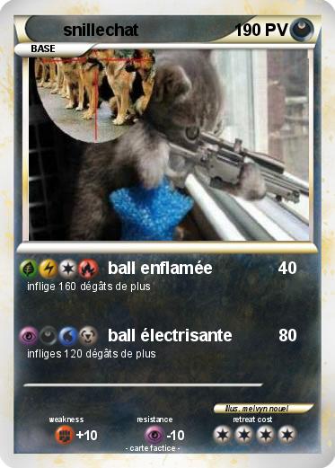 Pokemon snillechat
