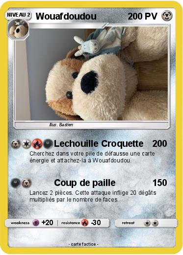 Pokemon Wouafdoudou