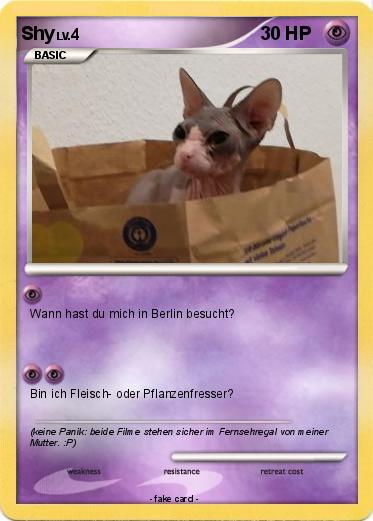 Pokemon Shy