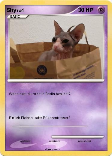 Pokemon Shy