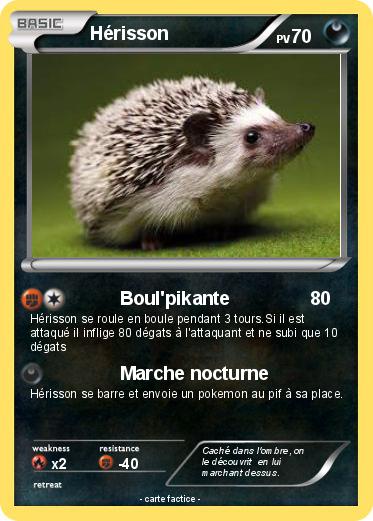 Pokemon Hérisson