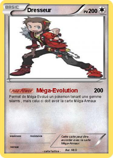 Pokemon Dresseur