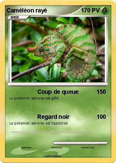 Pokemon Caméléon rayé