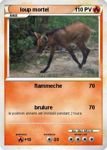 Pokemon loup mortel