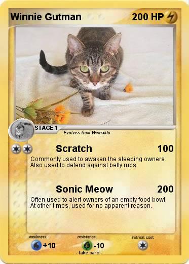 Pokemon Winnie Gutman