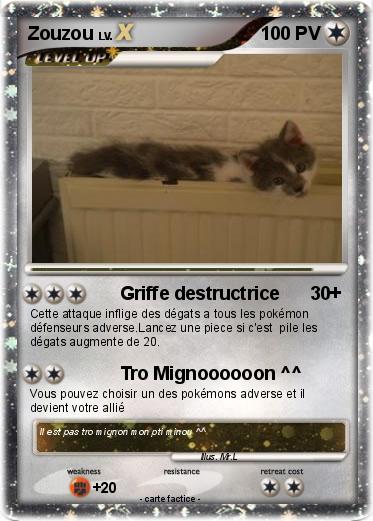 Pokemon Zouzou
