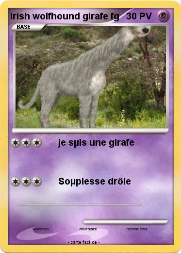 Pokemon irish wolfhound girafe fg