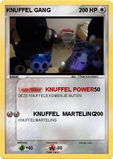 Pokemon KNUFFEL GANG