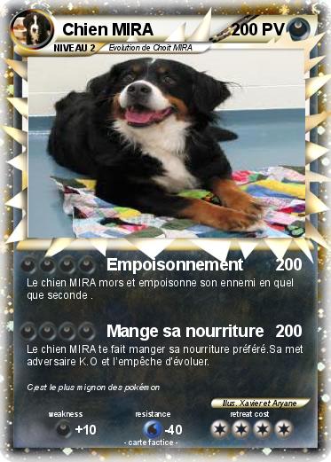 Pokemon Chien MIRA