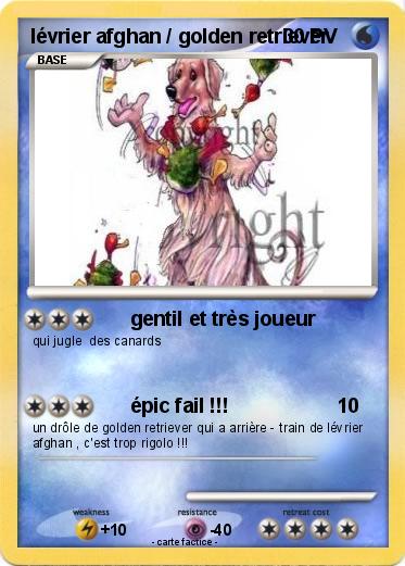 Pokemon lévrier afghan / golden retriever