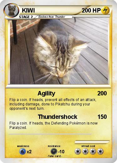 Pokemon KIWI