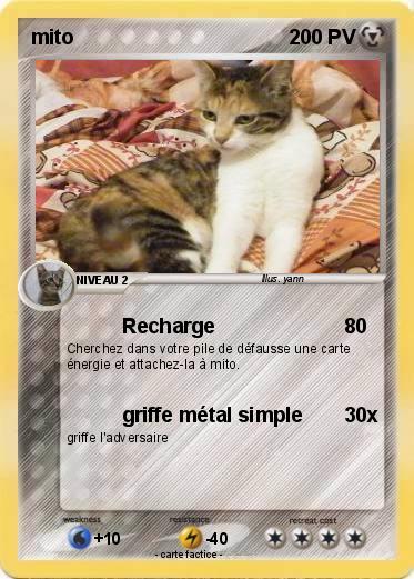 Pokemon mito