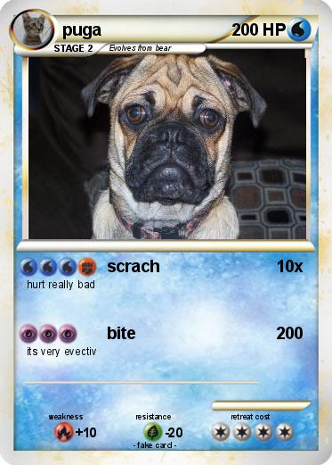 Pokemon puga
