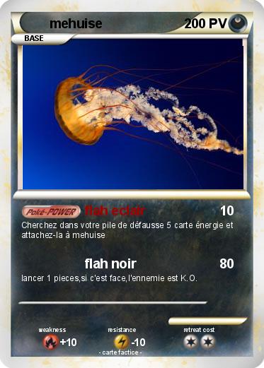 Pokemon mehuise