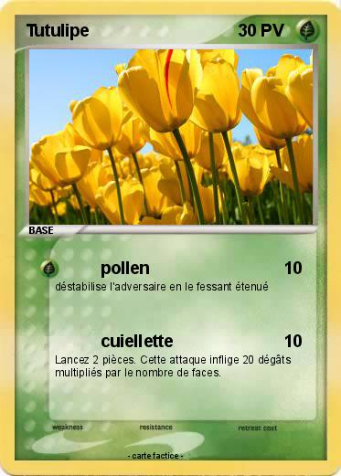Pokemon Tutulipe